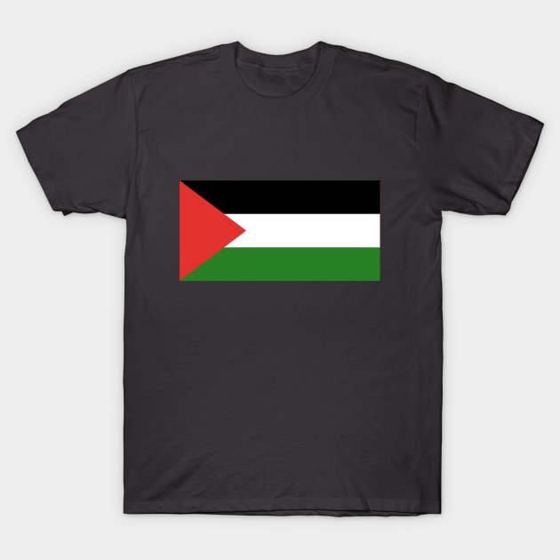 Flag of Palestine T-Shirt by terrybain